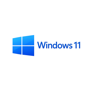 Windows 11